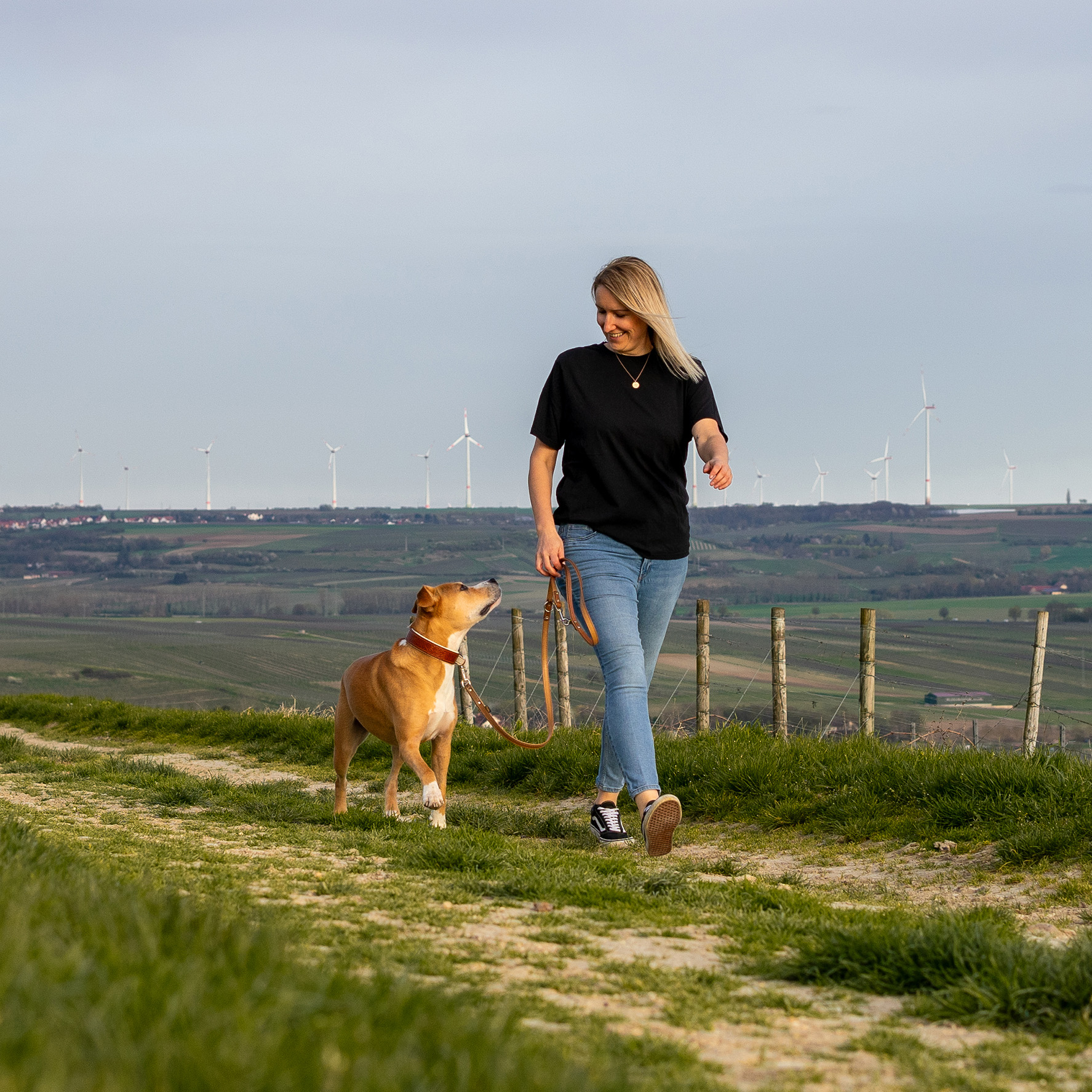 Effektives Hundetraining